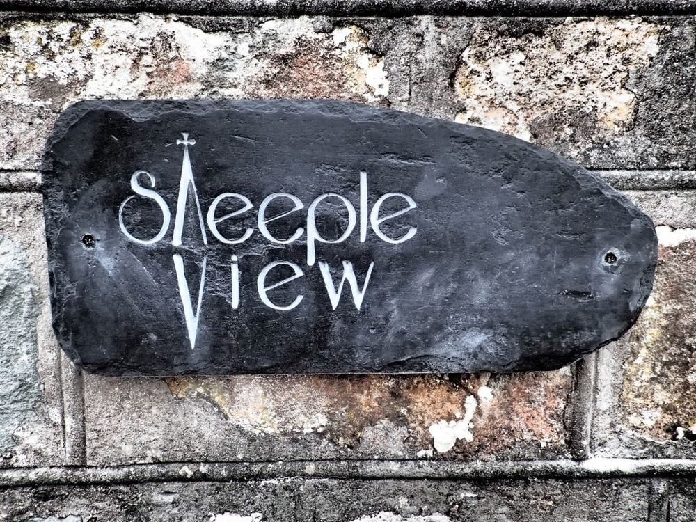 Steeple View Bed & Breakfast Newport  Exterior photo